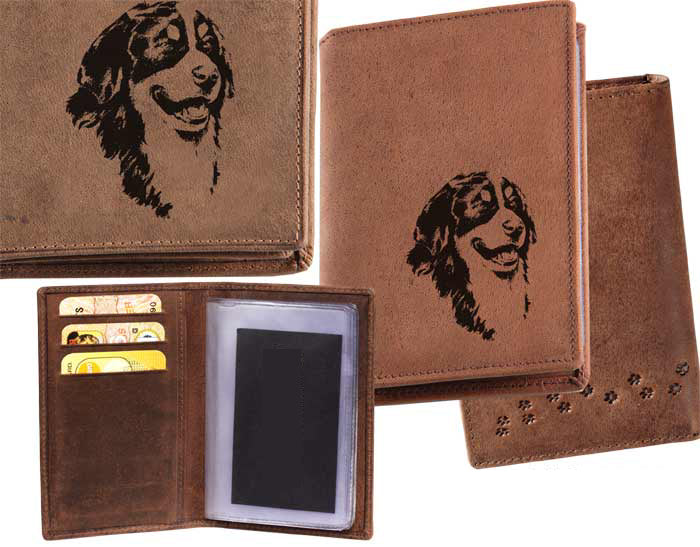 Dokumentenetui Berner Sennenhund