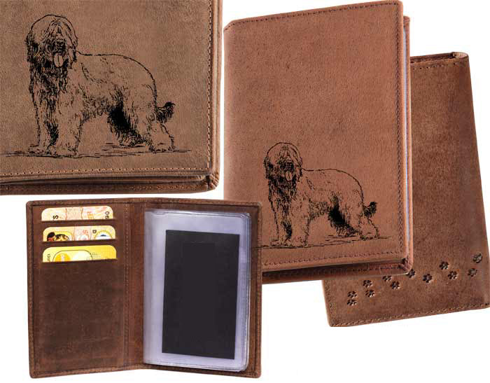 Dokumentenetui Briard